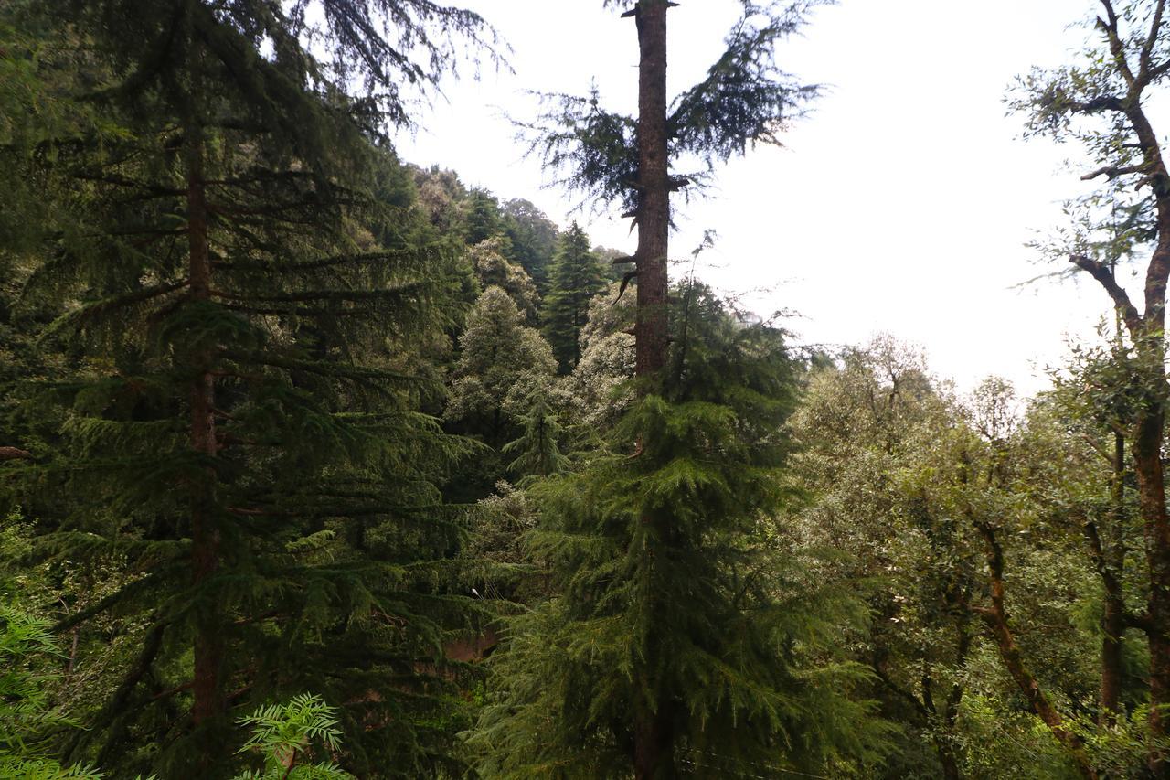 Vilasa Lall Ji Resort Dalhousie Exteriér fotografie